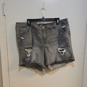 Torrid Sz 20 Gray Distressed Women Shorts